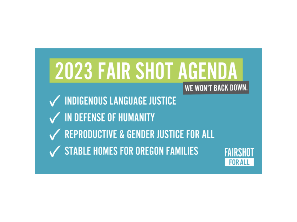 Image showing the 2023 Fair Shot Agenda with a checklist of priorities.