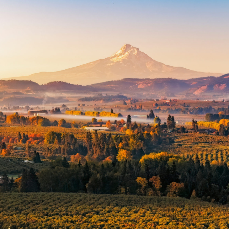 Scenic view of a valley with autumn colors and a distant snow-capped mountain under a clear sky.