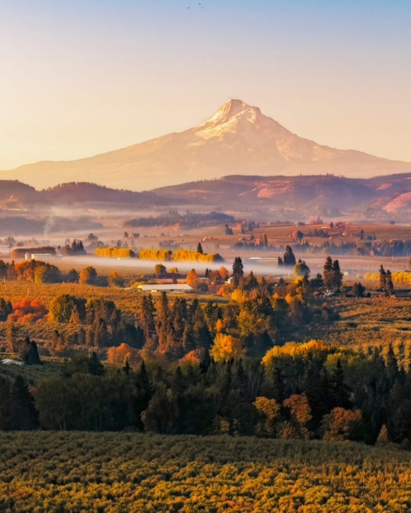 Scenic view of a valley with autumn colors and a distant snow-capped mountain under a clear sky.